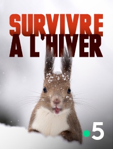 France 5 - Survivre à l'hiver