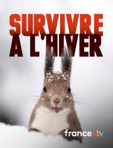france.tv - Survivre à l'hiver en replay