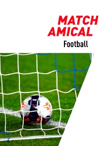 Football - Match amical international : Angleterre / Sénégal ou Suède / Algérie