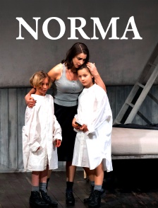 Vincenzo Bellini : Norma