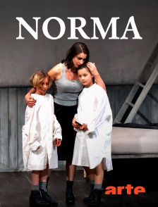 Arte - Vincenzo Bellini : Norma