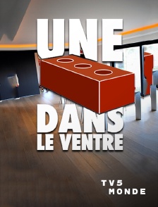 TV5MONDE - Une brique dans le ventre