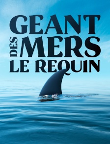Géant des mers : Le requin