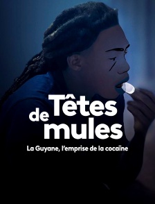Têtes de mules : La Guyane, l'emprise de la cocaïne