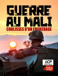 LCP Public Sénat - Guerre au Mali, coulisses d'un engrenage