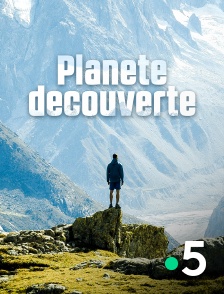 Planète découverte