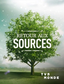 TV5MONDE - Retour aux sources