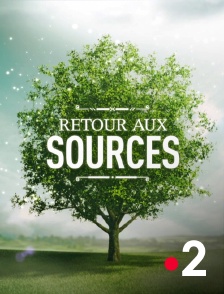 Retour aux sources