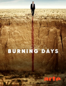 Arte - Burning Days