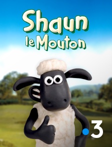 France 3 - SHAUN LE MOUTON