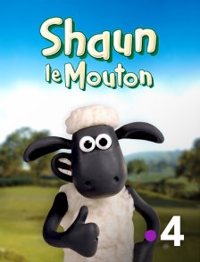 France 4 - SHAUN LE MOUTON