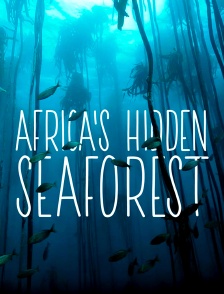 Africa's Hidden Seaforest