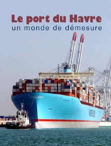 Le port du Havre, un monde de démesure
