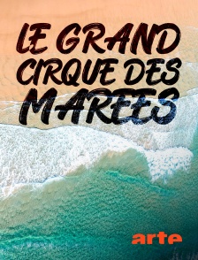 Arte - Le grand cirque des marées