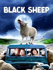 Black Sheep