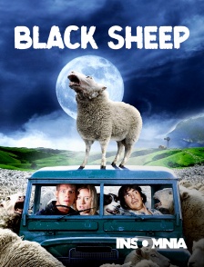 INSOMNIA - Black Sheep