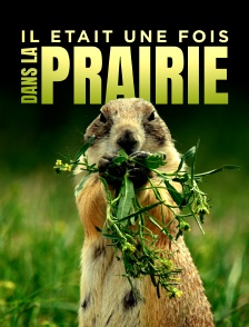 Il était une fois dans la prairie