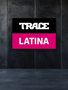 Trace Latina en LIVE