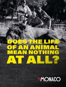 TV Monaco - Does the life of an animal mean nothing at all