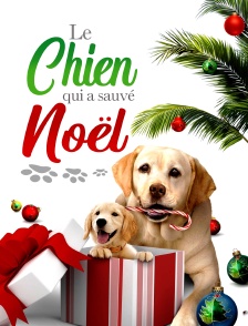 Le chien qui a sauvé Noël