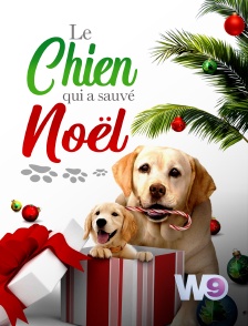 W9 - Le chien qui a sauvé Noël