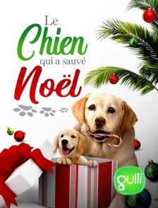 Gulli - Le chien qui a sauvé Noël