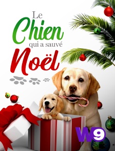 Le chien qui a sauvé Noël