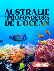 Animaux - Australie : les profondeurs de l'Océan