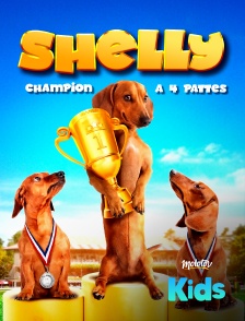 Shelly, champion à quatre pattes