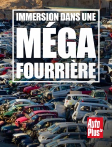 AutoPlus - Immersion dans une méga fourrière