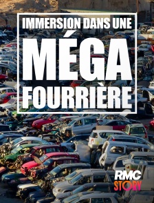 RMC Story - Immersion dans une méga fourrière