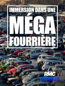 RMC Découverte - Immersion dans une méga fourrière