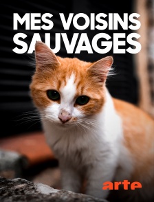 Arte - Mes voisins sauvages