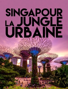 Singapour : La jungle urbaine