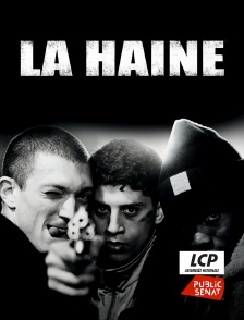 LCP Public Sénat - La haine