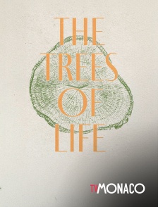 TV Monaco - The Trees Of Life