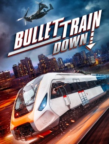 Bullet train down