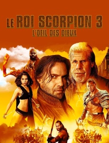 Le roi Scorpion 3 : l'oeil des Dieux