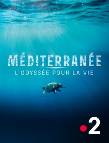 Méditerranée, l'odyssée pour la vie