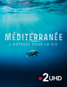 France 2 UHD - Méditerranée, l'odyssée pour la vie