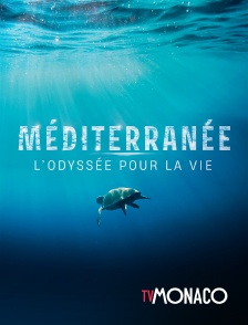 TV Monaco - Méditerranée, l'odyssée pour la vie