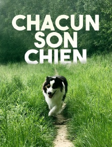Chacun son chien