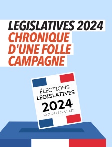 Législatives 2024, chronique d'une folle campagne