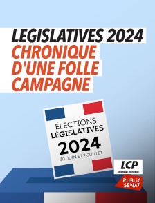 Législatives 2024, chronique d'une folle campagne