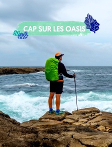 Cap sur les oasis