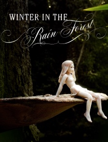Winter in the Rainforest