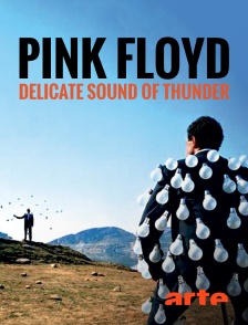 Arte - Pink Floyd : Delicate Sound of Thunder