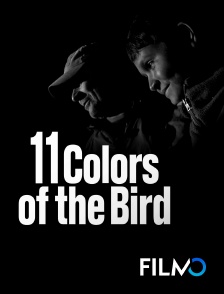 11 colors of a bird