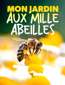 Mon jardin aux mille abeilles