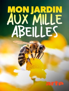 Arte - Mon jardin aux mille abeilles